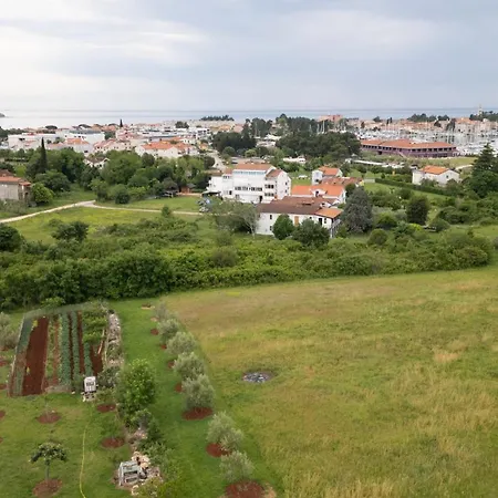 Apartments Mirella Novigrad  Exterior photo