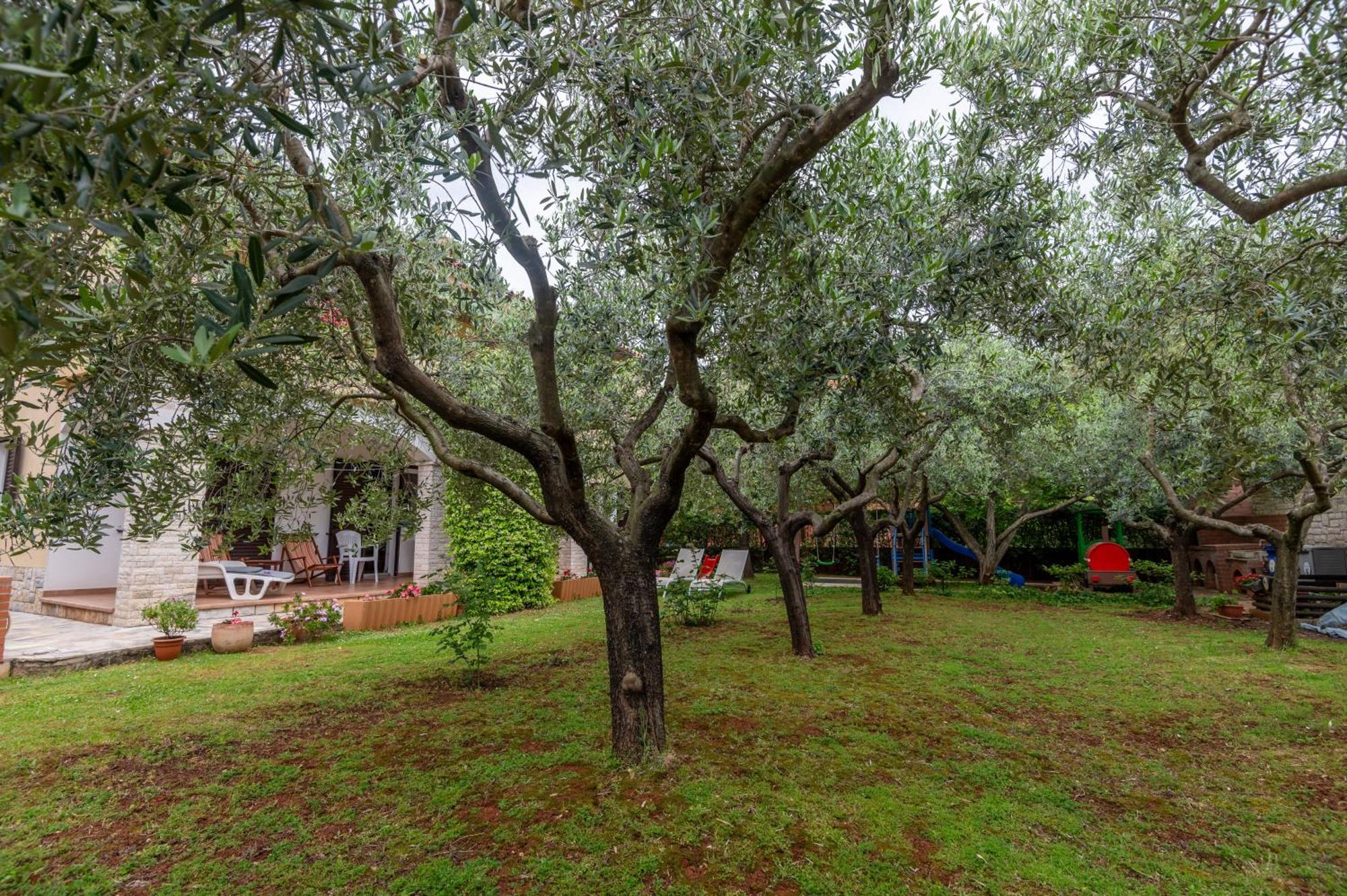 Mirella Novigrad (Istria)